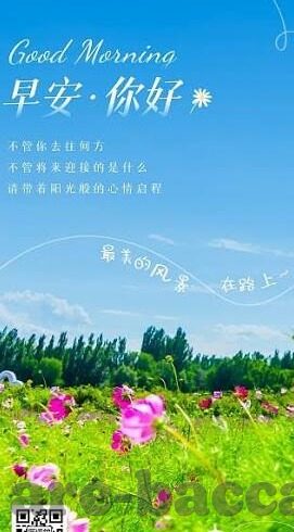比分188足球比分直播-揭秘比分188，足球比分直播背后的数据狂欢与球迷狂欢